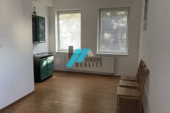 Levicke-reality-1