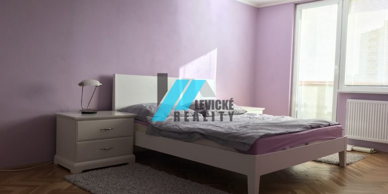 levicke-reality-2