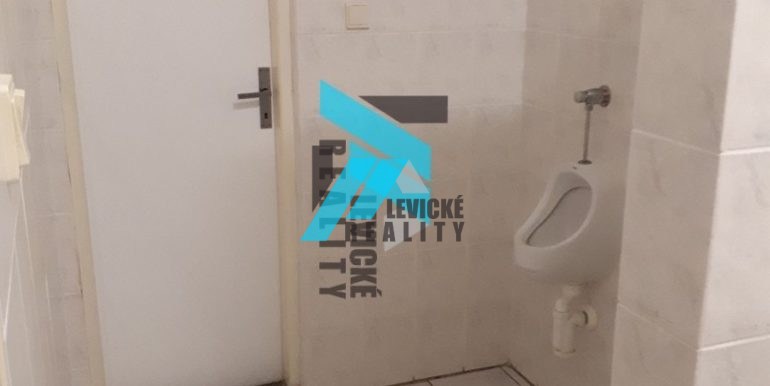 levicke-reality-4