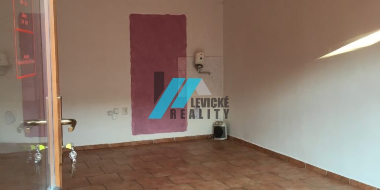 levicke-reality-4