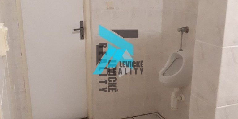 levicke-reality-5