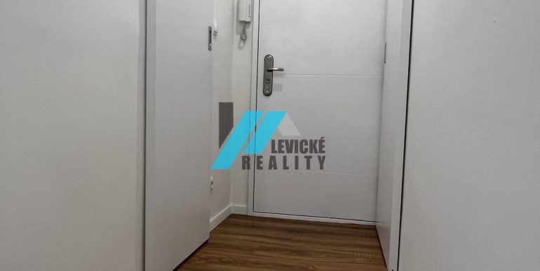Levicke-reality-8