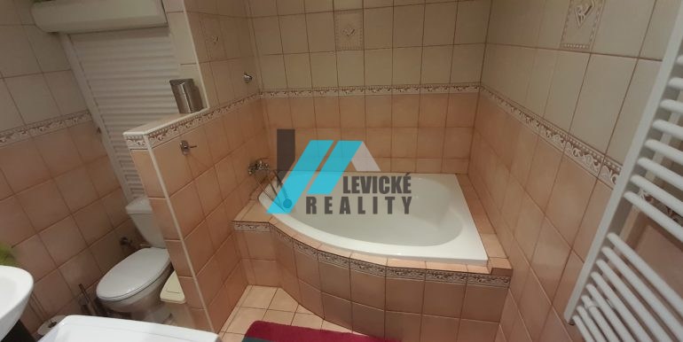 Levicke-reality-7