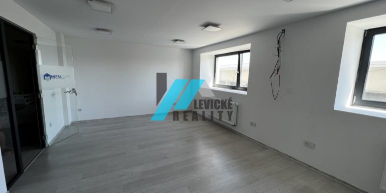 Levicke-reality-2