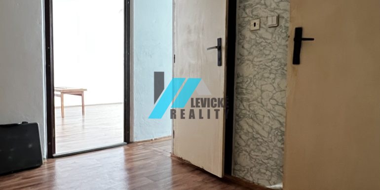 Levicke-reality-3