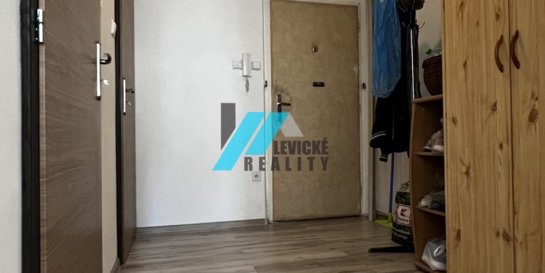 Levicke-reality-6