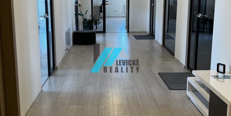 levicke-reality-6