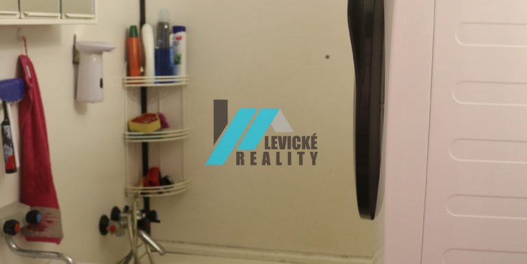 Levicke-reality-6