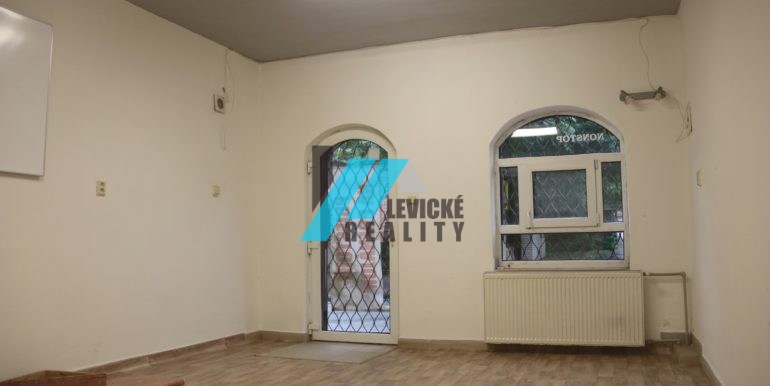 levicke-reality-2
