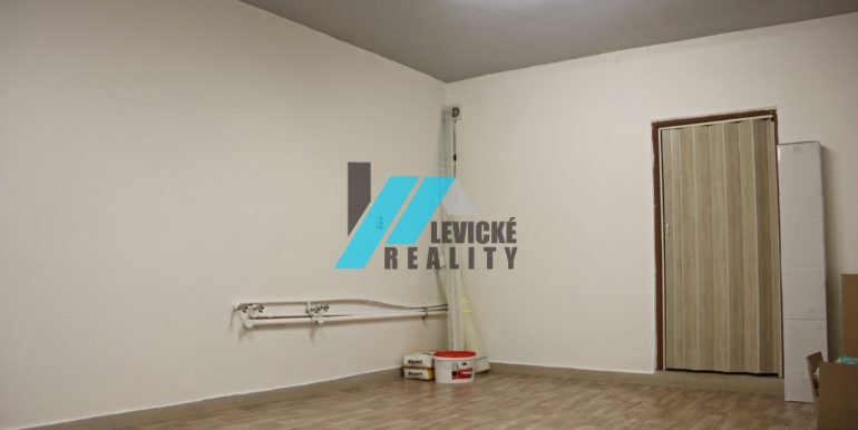 levicke-reality-3