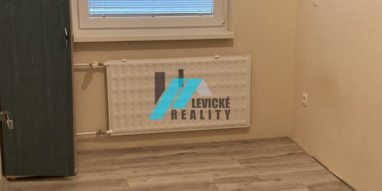 levicke-reality 4
