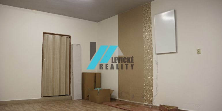 levicke-reality-4