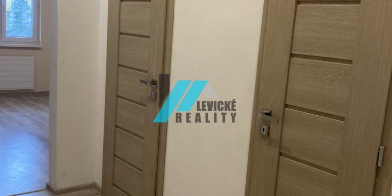 levicke-reality 6