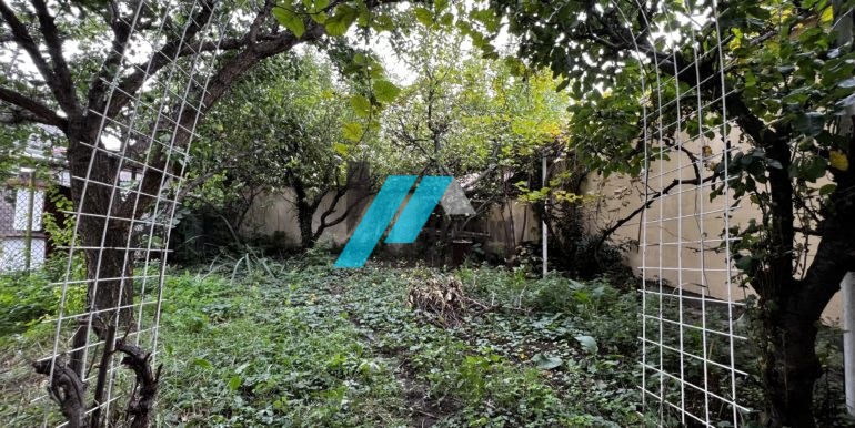 levicke-reality-9