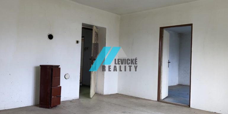 Levicke-reality-1