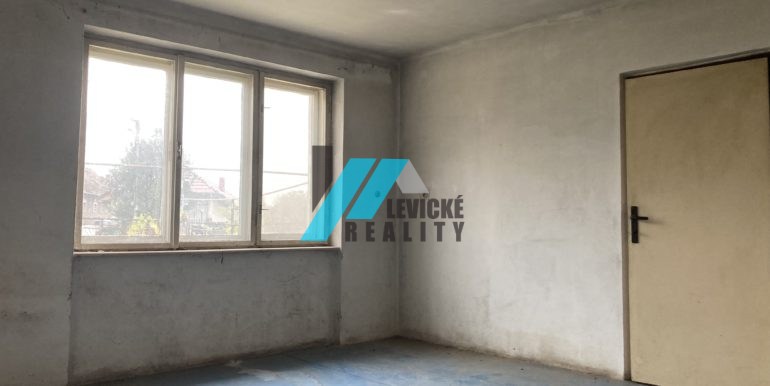 Levicke-reality-2