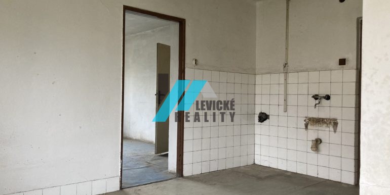 Levicke-reality-3