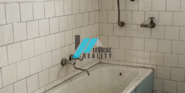 Levicke-reality-4