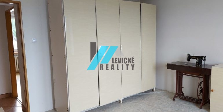 Levicke-reality-4