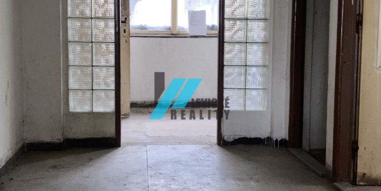 Levicke-reality-5