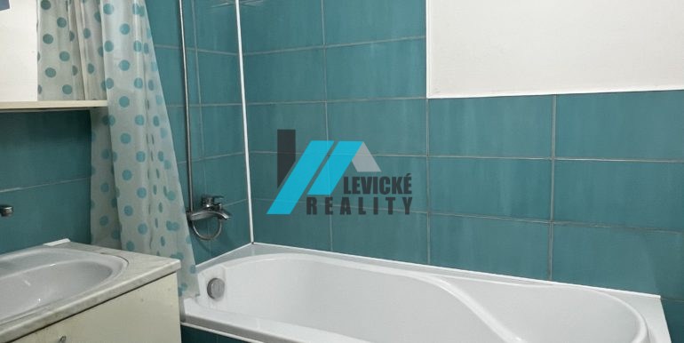 Levicke-reality-5
