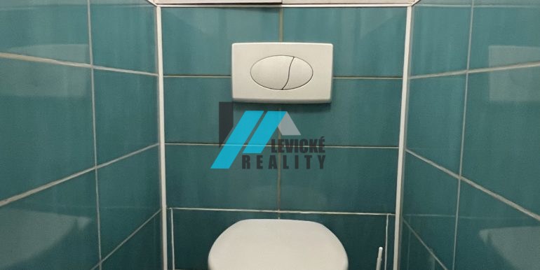 Levicke-reality-6