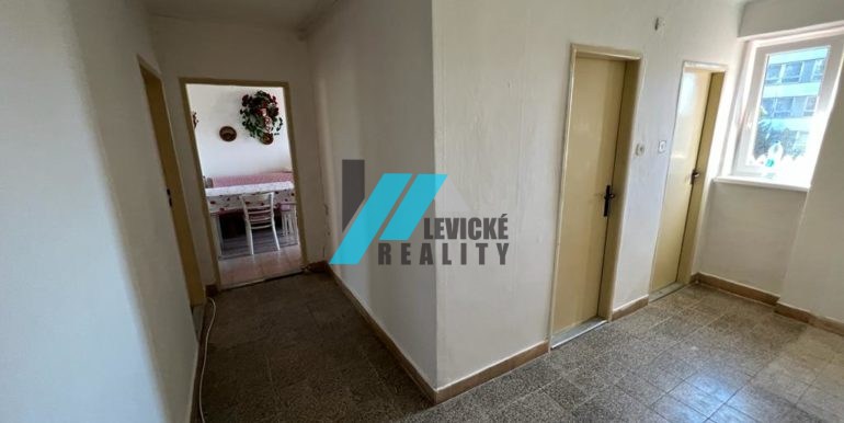 Levicke-reality 7
