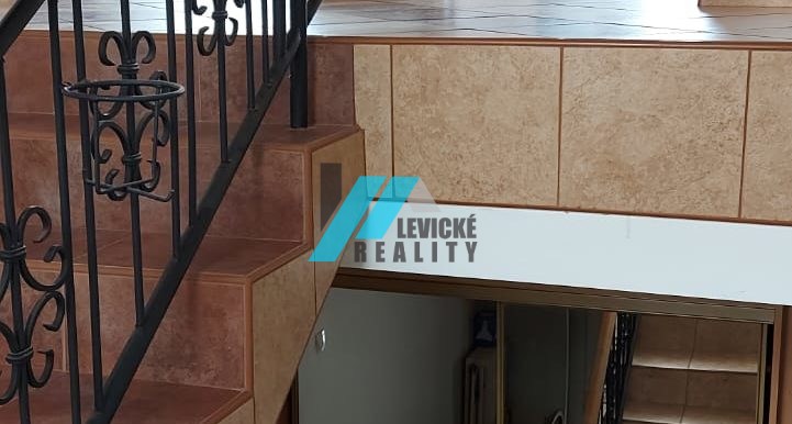 Levicke-reality-7