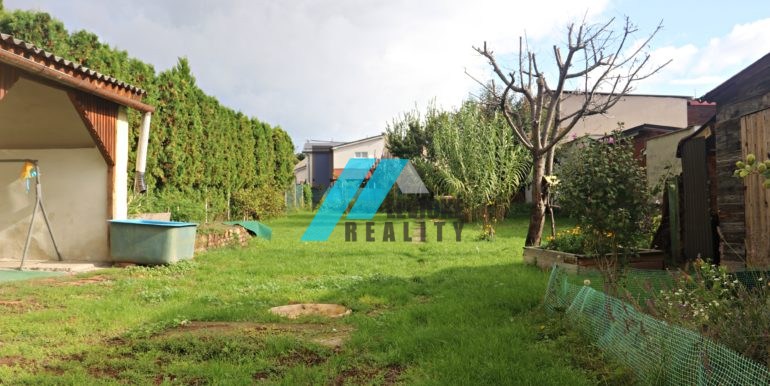 levicke-reality-1
