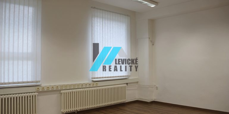 levicke-reality-1
