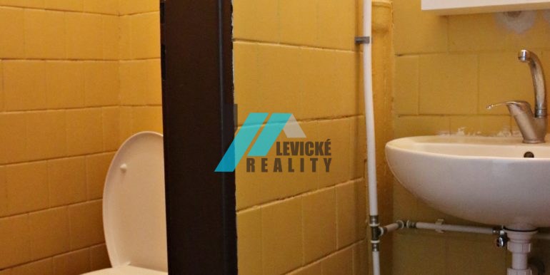 levicke-reality-10