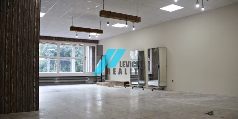 levicke-reality-2