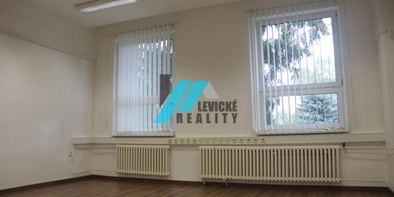levicke-reality-2
