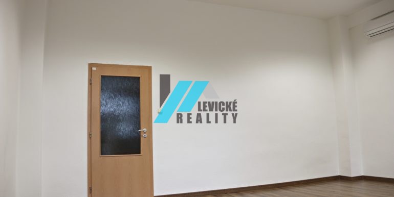 levicke-reality-3