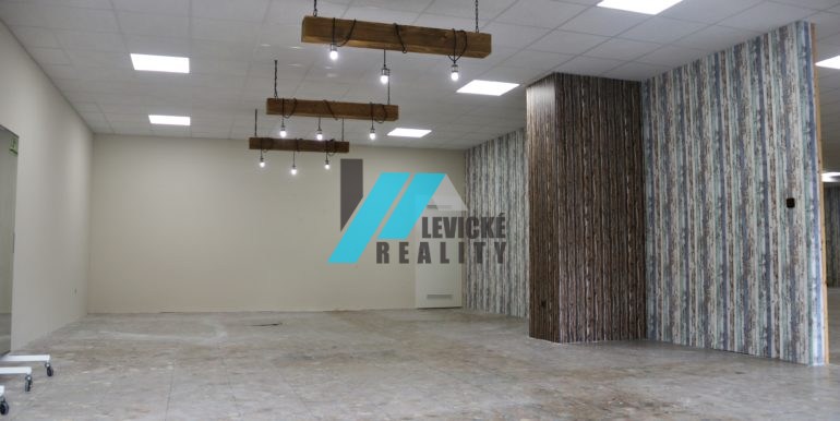 levicke-reality-4