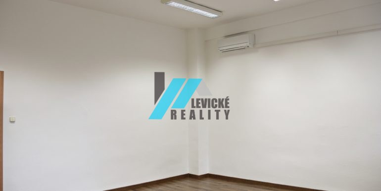 levicke-reality-4