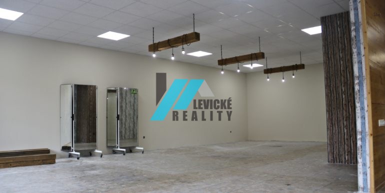 levicke-reality-6