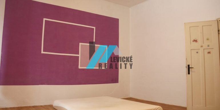 levicke-reality-7