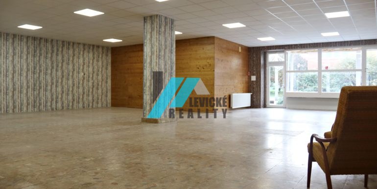 levicke-reality-7