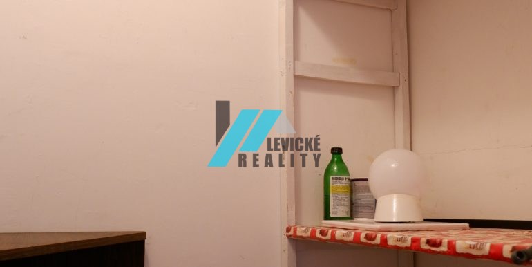 levicke-reality-8