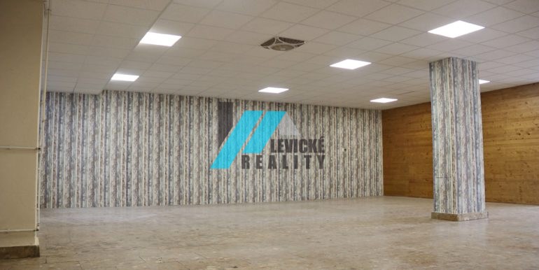 levicke-reality-8