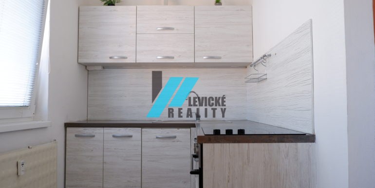 levicke-reality-1