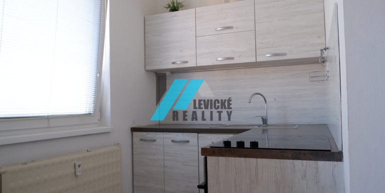 levicke-reality-2