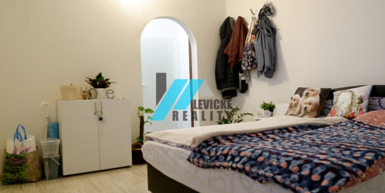 levicke-reality-3