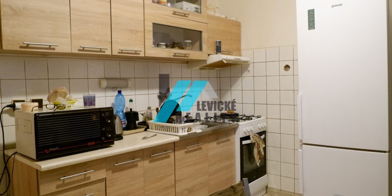 levicke-reality-7