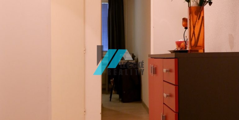 levicke-reality-8