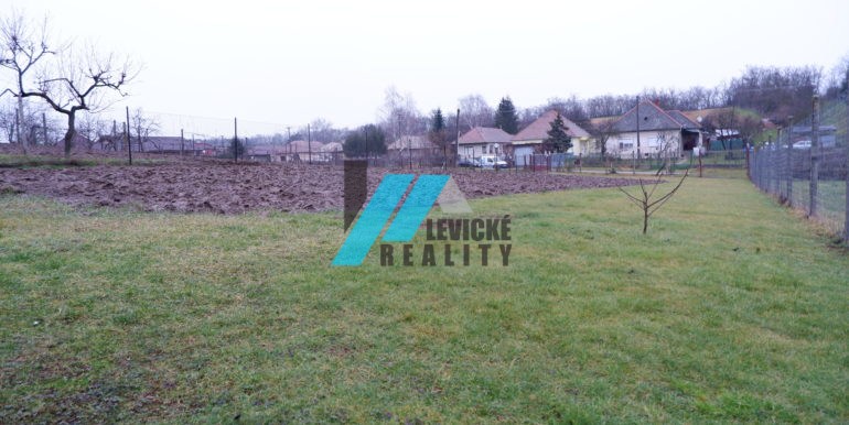 levicke-reality-11
