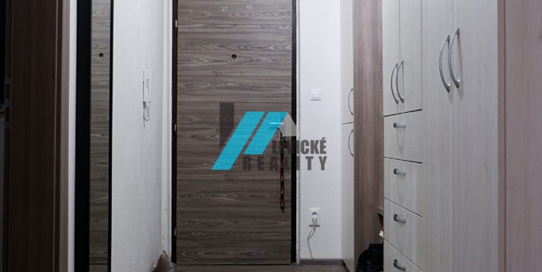 levicke-reality-12