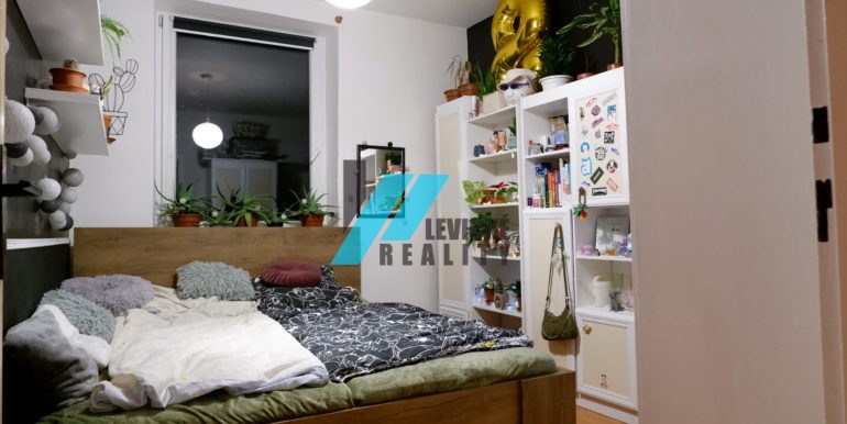 levicke-reality-2