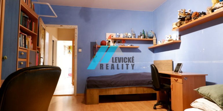 levicke-reality-6